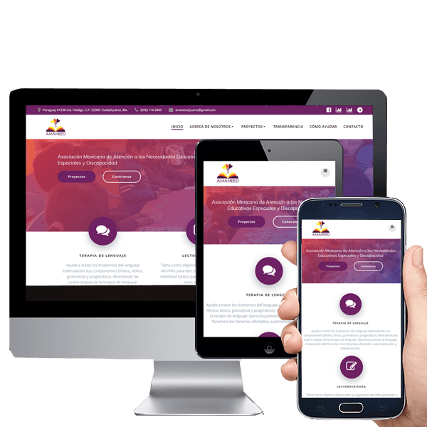 Web Design / AMANEED